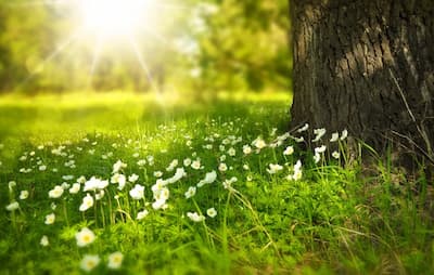 Pompe à chaleur : une énergie verte