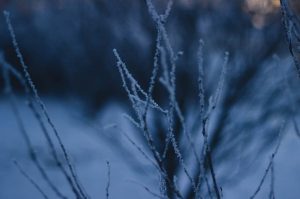 Arrivée du froid en France