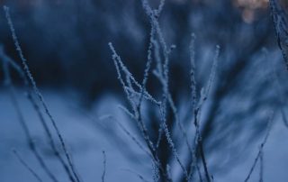 Arrivée du froid en France