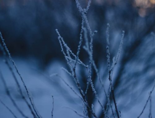 Avez vous pensé à la révision de votre système de chauffage ?